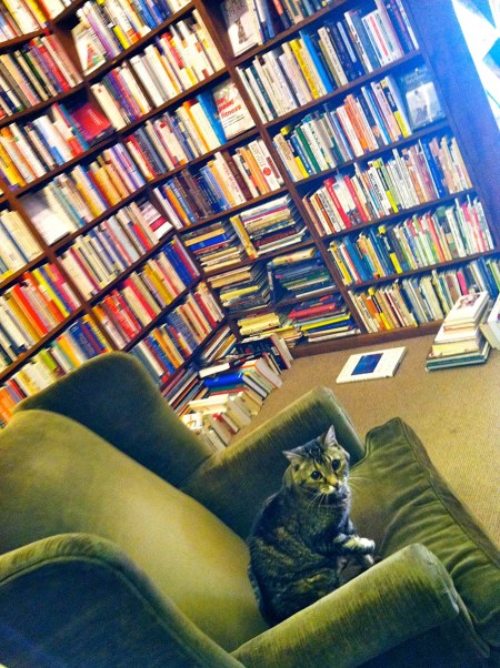 Literary Feline
